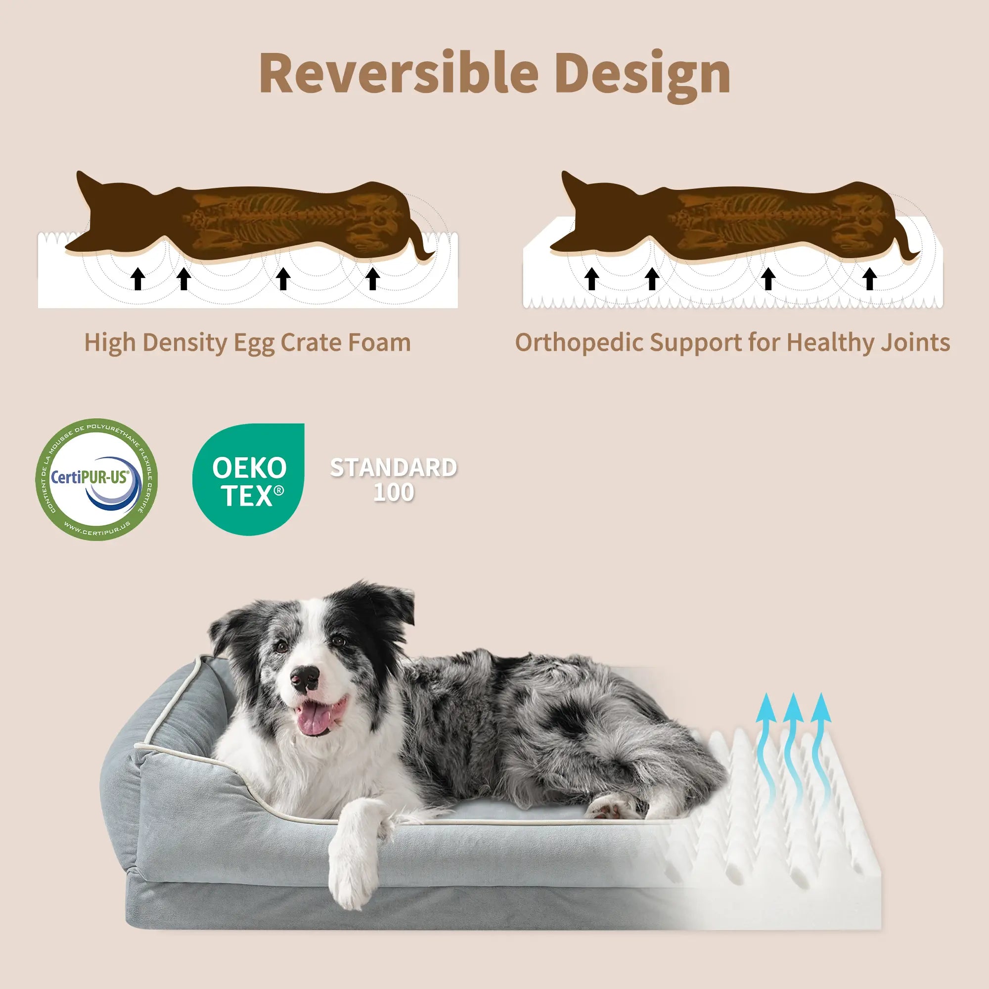 FAIRYPET Soothing Sofa Dog Bed Pet Bed, Suitable for Dogs and Cats | Removable, Machine-Washable Comfortable Nest | Soft, Scratch- and Wear-Resistant Dutch Fleece | Non-Slip Base Designed for Small and Medium-Sized Pets